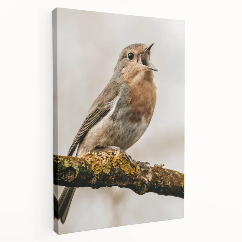 Farmhouse Wall Art | Rustic Songbird Decor | Vintage Country Style Print Hot Picks