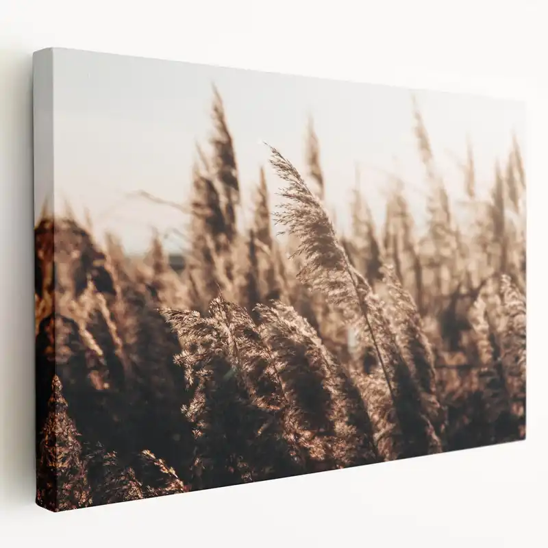 Buy Today Golden Grass in Sunlight Farmhouse Wall Art – Rustic Country Decor Print