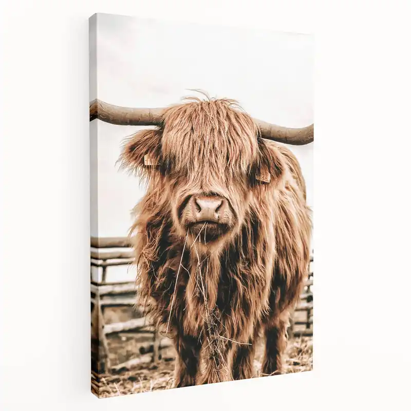 Highland Cow Farmhouse Wall Art – Rustic Country Style Decor Print Direct From Factory