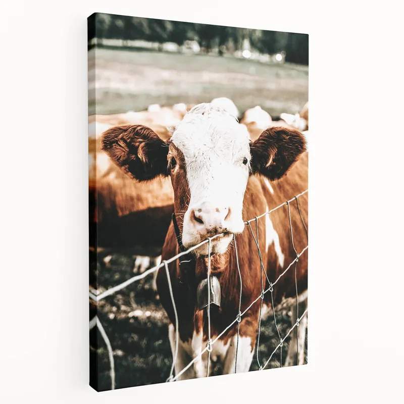 Certified Country Style Cow Farmhouse Wall Art – Rustic Vintage Farmhouse Decor