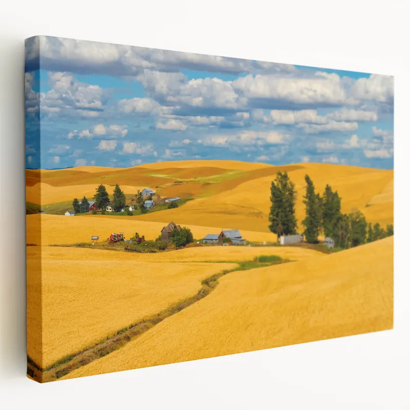 Budget Palouse Region Art - Golden Wheat Fields and Farmhouses on Canvas or Acrylic