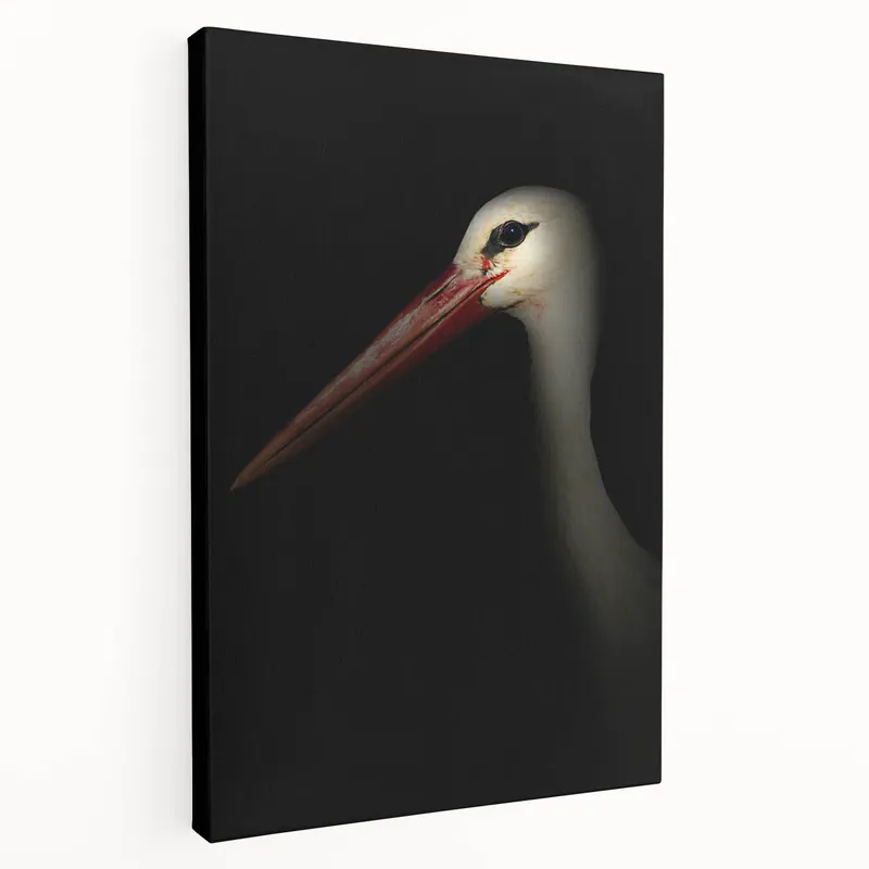 Fresh Stock Stork in Shadows - Fine Art Photography Framed Prints
