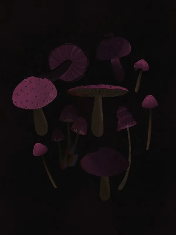 Dark Pink Mushrooms Hot Deal