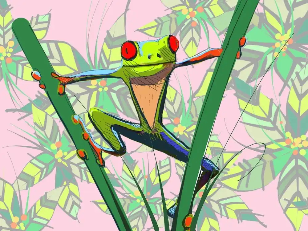 Mega Sale Rainforest Frog