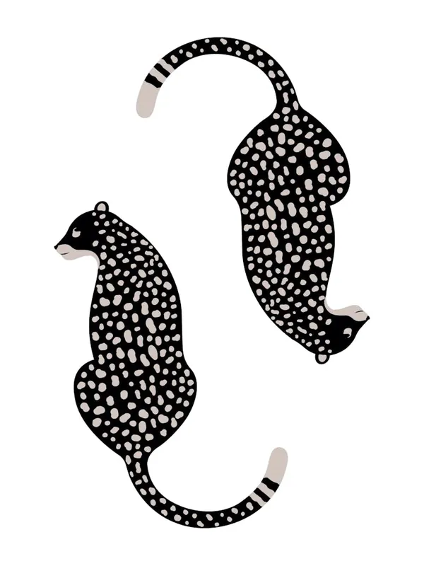 Factory Price Cheetahs 2