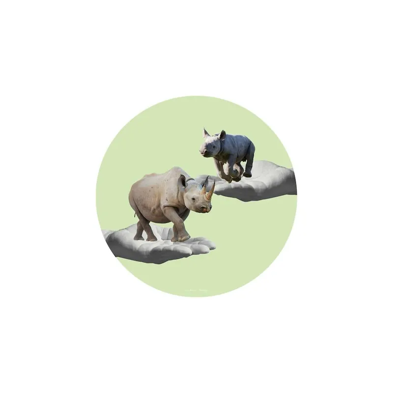 Rhino Collage Square Save Now