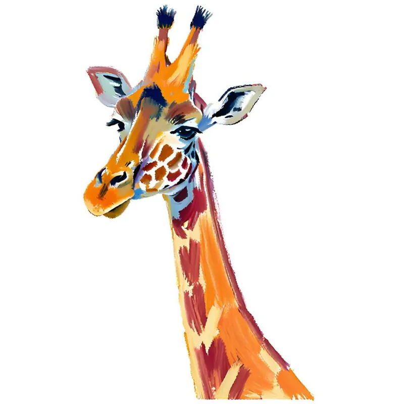Giraffe 05 Budget